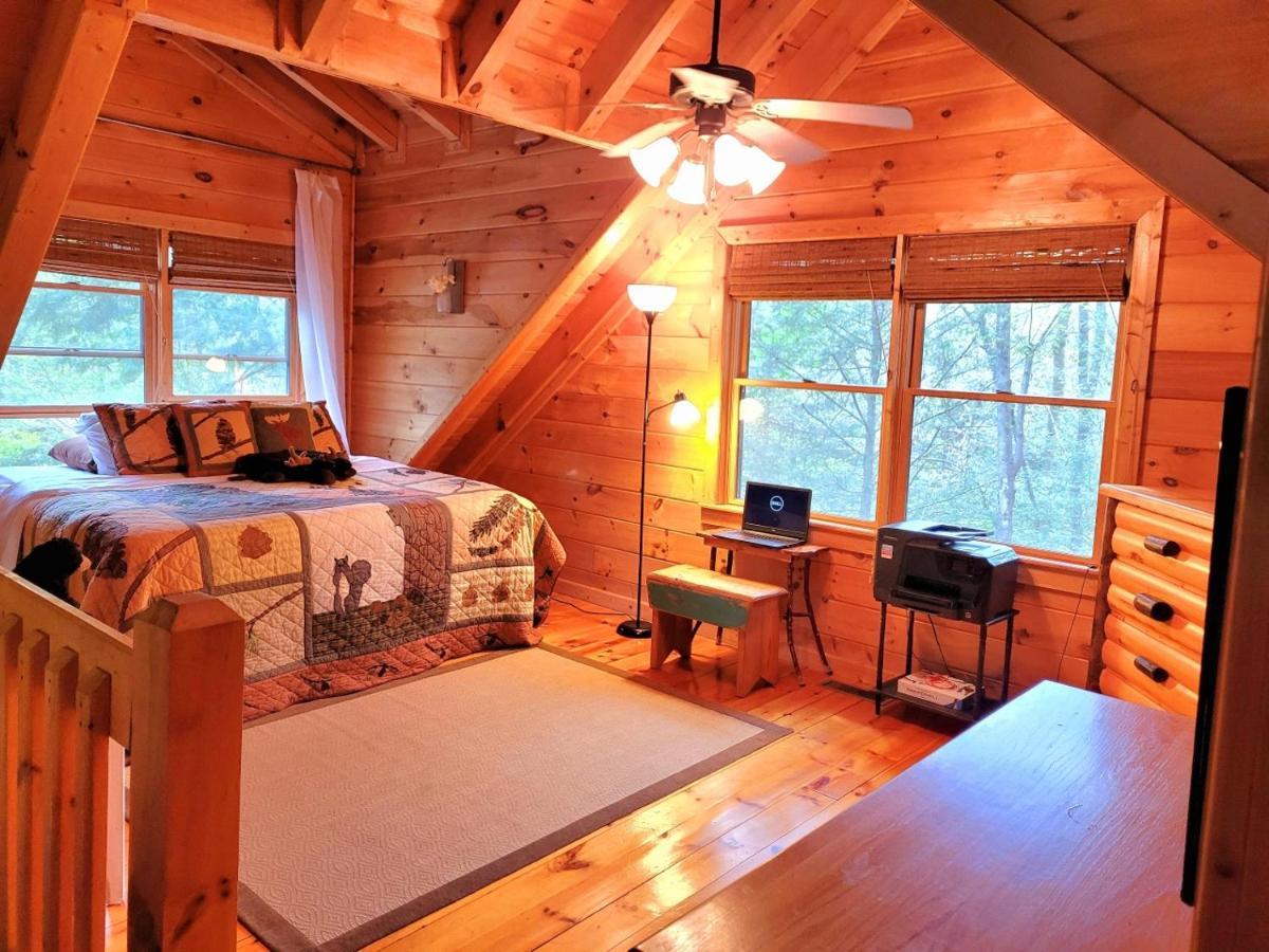 Luxury Cabin With Waterview And Privacy, Hiking Blue Ridge Extérieur photo