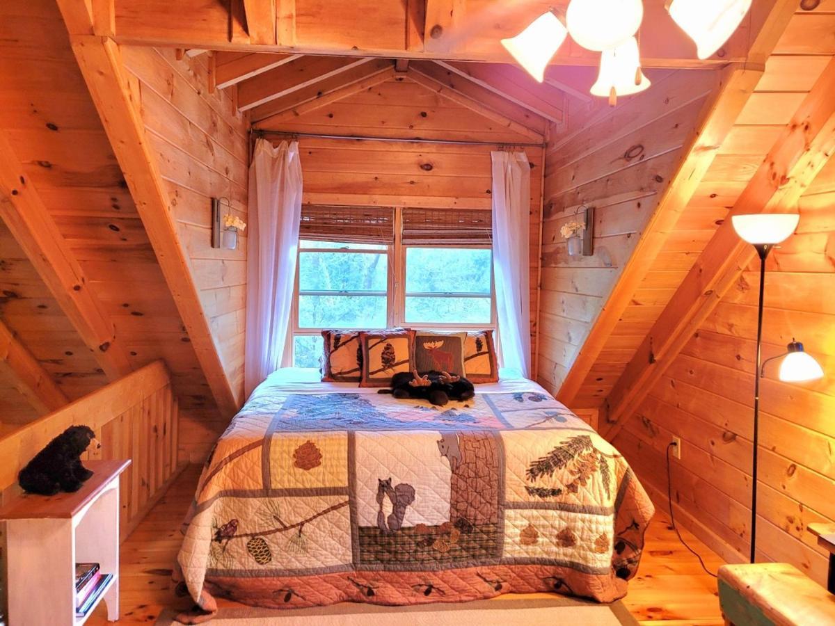 Luxury Cabin With Waterview And Privacy, Hiking Blue Ridge Extérieur photo